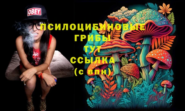 мяу мяу мука Новодвинск