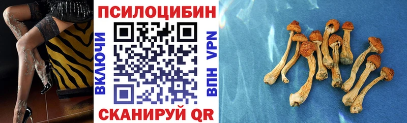 купить наркоту гидра как зайти Галлюциногенные грибы ЛСД Петропавловск-Камчатский
